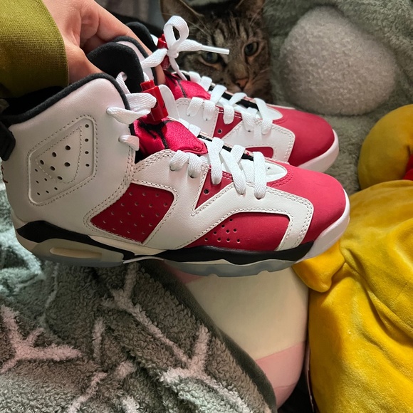 Air Jordan 6 retro carmine